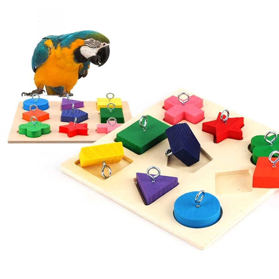 Amazon.co.jp: fuu 鳥の知育おもちゃ カラフル9パズル 小鳥 知育